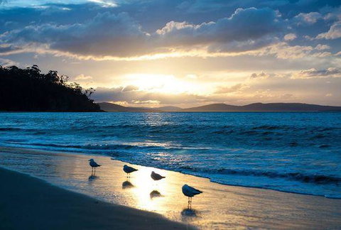 The Ultimate Beach House - Hotel QLD 8