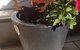 Driftwood-Cottage - thumb 36