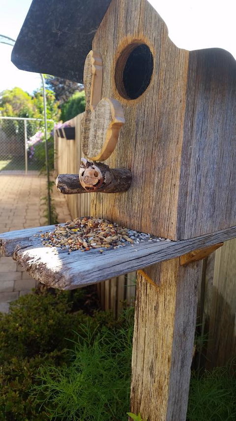 Driftwood-Cottage - Hotel QLD 29
