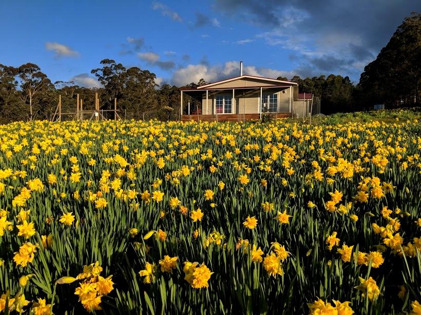 Golden Valley TAS Hotel QLD
