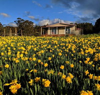 Mountain Blue Guest House - Hotel QLD