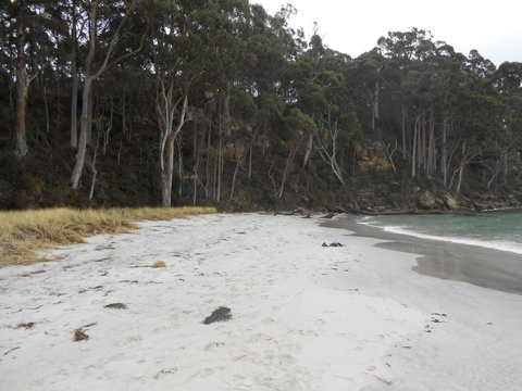 Bruny Ocean Cottage - Hotel QLD 12