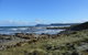 Bruny Ocean Cottage - thumb 15