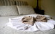 Aldermere Estate Luxury Apartments - thumb 27