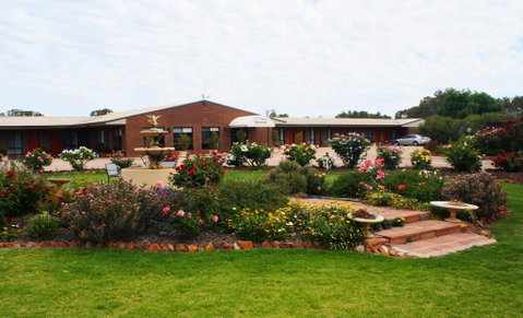 Newell Motor Inn Narrandera - Hotel QLD 1