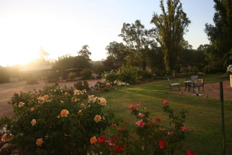 Newell Motor Inn Narrandera - Hotel QLD 3