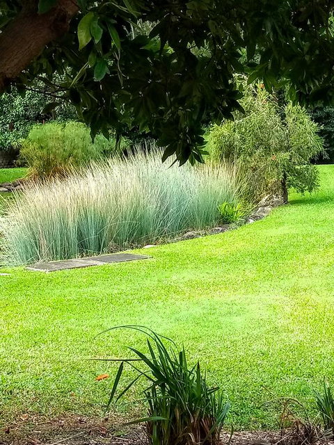 Paradise In The Tropics - Hotel QLD 3