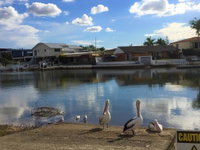 Pelican Cove Apartments