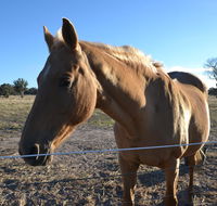 Penny's Place in The pyrenees