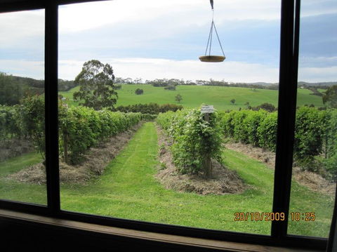 Pennyroyal Raspberry Farm & Cidery - Hotel QLD 0