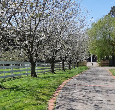 Ray's Farm - Hotel QLD 1