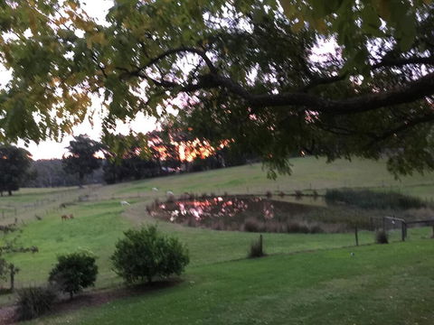 Raynella Alpaca Farmstay - Hotel QLD 2