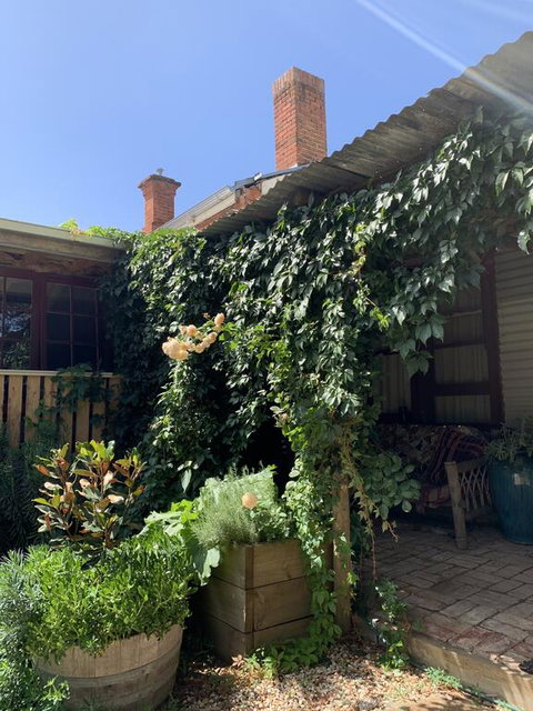 Red Hill Cottage - Hotel QLD 2