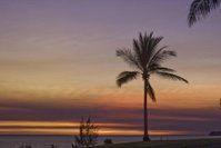 Seaview Studio