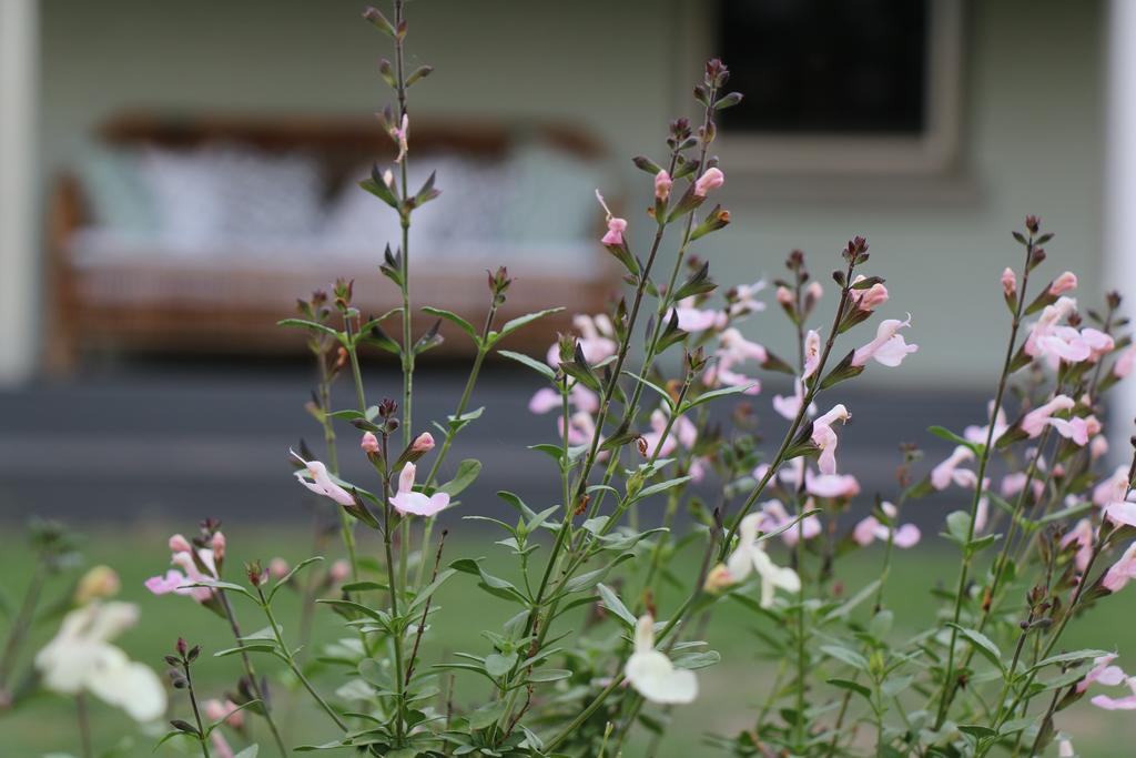 Allynbrook ACT Hotel QLD