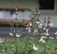 Serendipity on Allyn - Hotel QLD