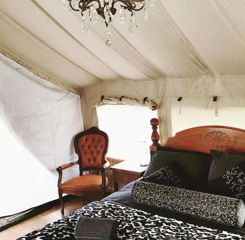 Silk Pavilions Glamping - Hotel QLD 1