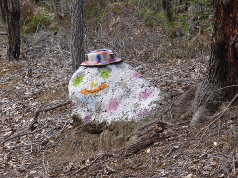 Splendid Wren Cottage - Hotel QLD 3