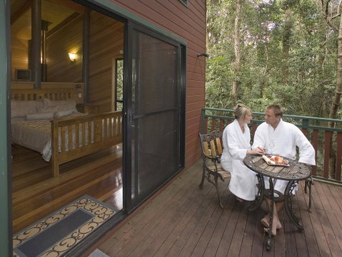 Springbrook Lyrebird Retreat - Hotel QLD 3