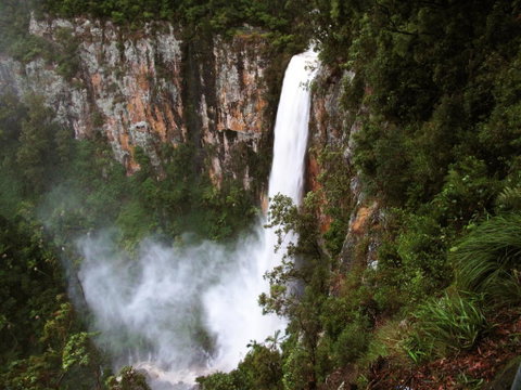 Springbrook Lyrebird Retreat - Hotel QLD 2