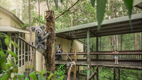 Springwood Meditation Centre - Hotel QLD 0