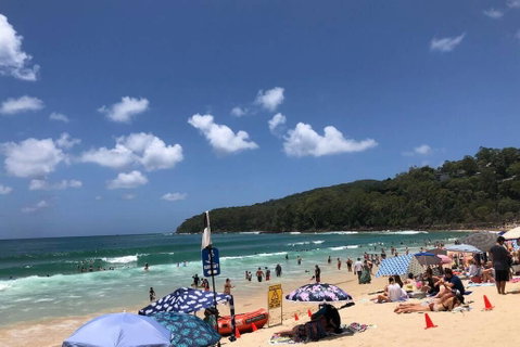 Sunshine Coast Cottage - Hotel QLD 3