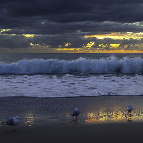 Surfers Horizons - Hotel QLD 3