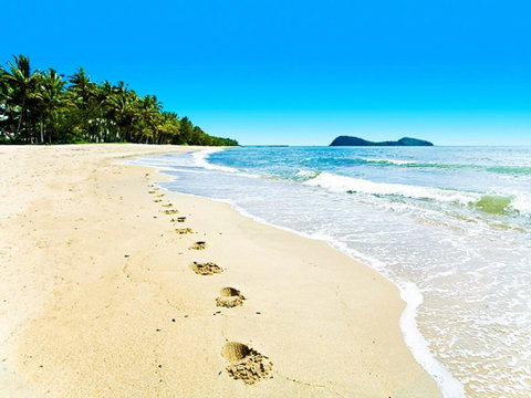 Temple 121 Modern Spacious Palm Cove 2 Brm 2 Bth Resort Apartment With Courtyard - Hotel QLD 0