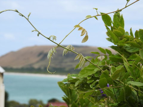 Ellie\'s Cottages - Hotel QLD 3