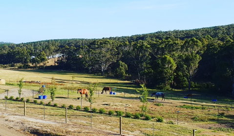 Lockleigh Park - Hotel QLD 19
