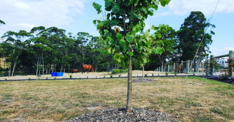 Lockleigh Park - Hotel QLD 5