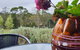 Lockleigh Park - thumb 22