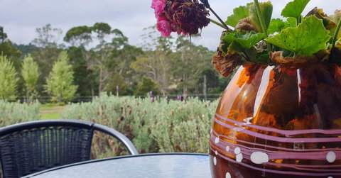 Lockleigh Park - Hotel QLD 22