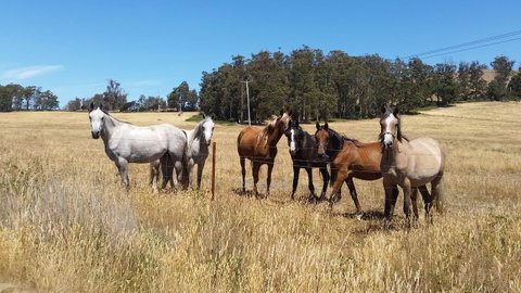 Lockleigh Park - Hotel QLD 28