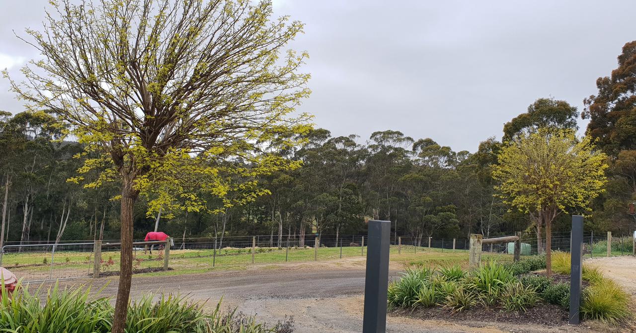 Lebrina TAS Hotel QLD