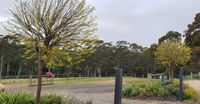 Book Lebrina Accommodation Vacations Hotel QLD Hotel QLD