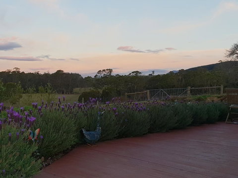 Lockleigh Park - Hotel QLD 23