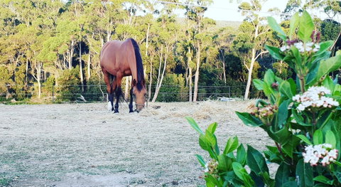 Lockleigh Park - Hotel QLD 20