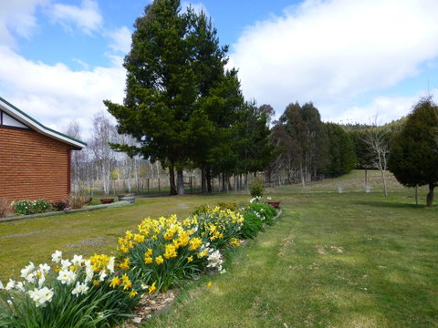 Quamby Pines Chalet - Hotel QLD 23