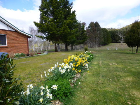 Quamby Pines Chalet - Hotel QLD 19