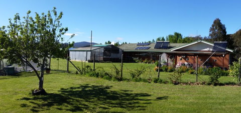 Quamby Pines Chalet - Hotel QLD 1