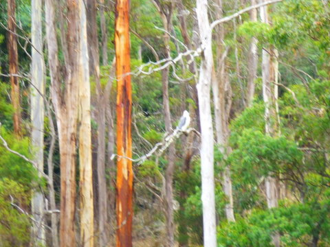 Quamby Pines Chalet - Hotel QLD 11
