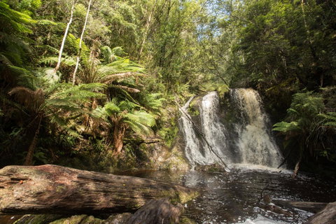 Strahan Village - Hotel QLD 27