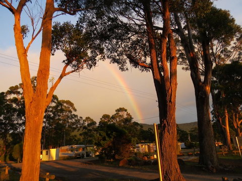 Captain Cook Holiday Park - Hotel QLD 12