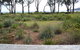 Captain Cook Holiday Park - thumb 11