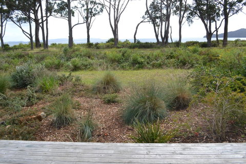 Captain Cook Holiday Park - Hotel QLD 11