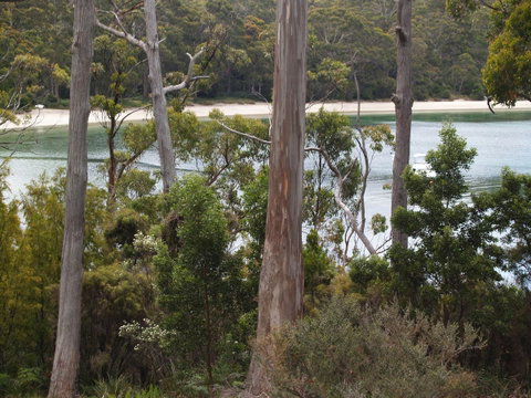 Stewarts Bay Lodge - Hotel QLD 23