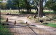 Drumreagh Cabins - thumb 2