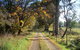 Drumreagh Cabins - thumb 6