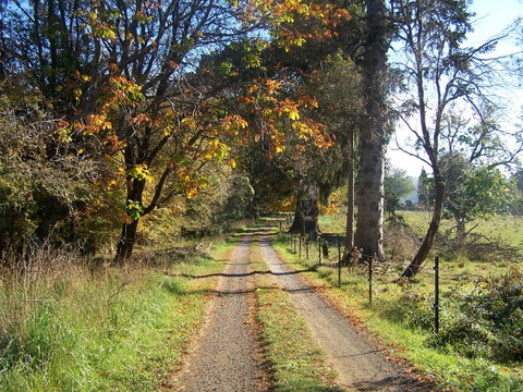 Drumreagh Cabins - Hotel QLD 6